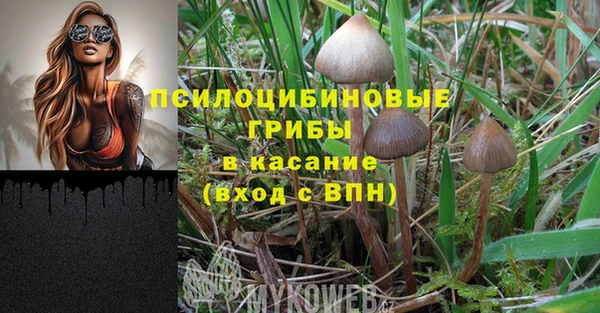 хмурый Беломорск